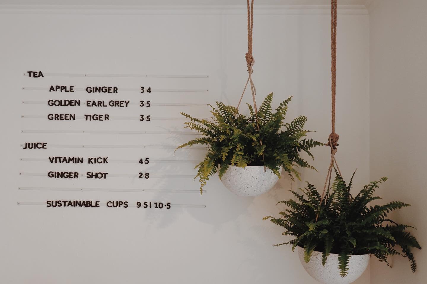 Step by step filling some empty corners in the cafe. Some normality feels really good 😌 we are so happy to welcome you back inside!
We wish you all a beautiful day ☀️☀️
#plantsandcoffee #greencorners #interior #coffeehouse #berlinmitte #mitteberli